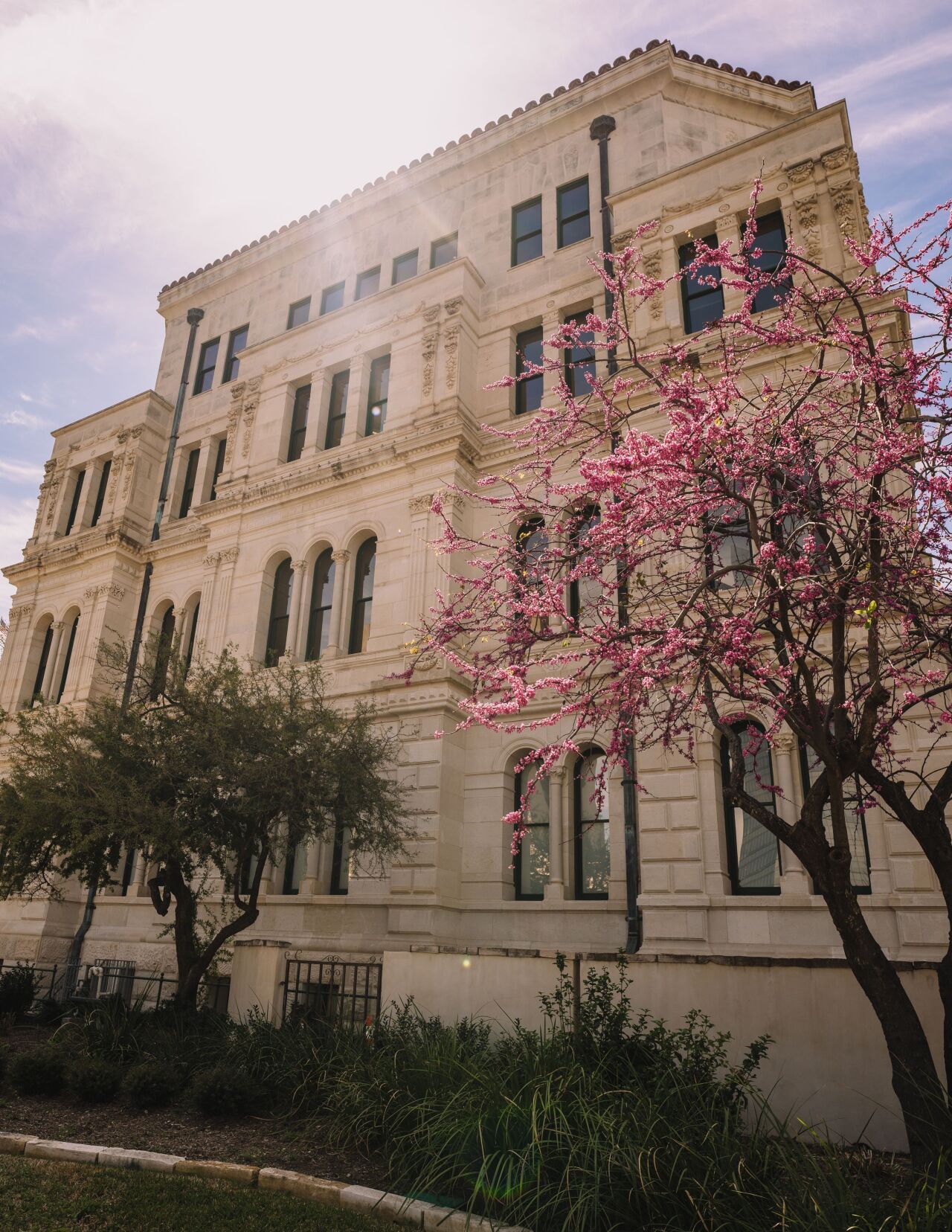 San Antonio City Hall Brent Hull 19