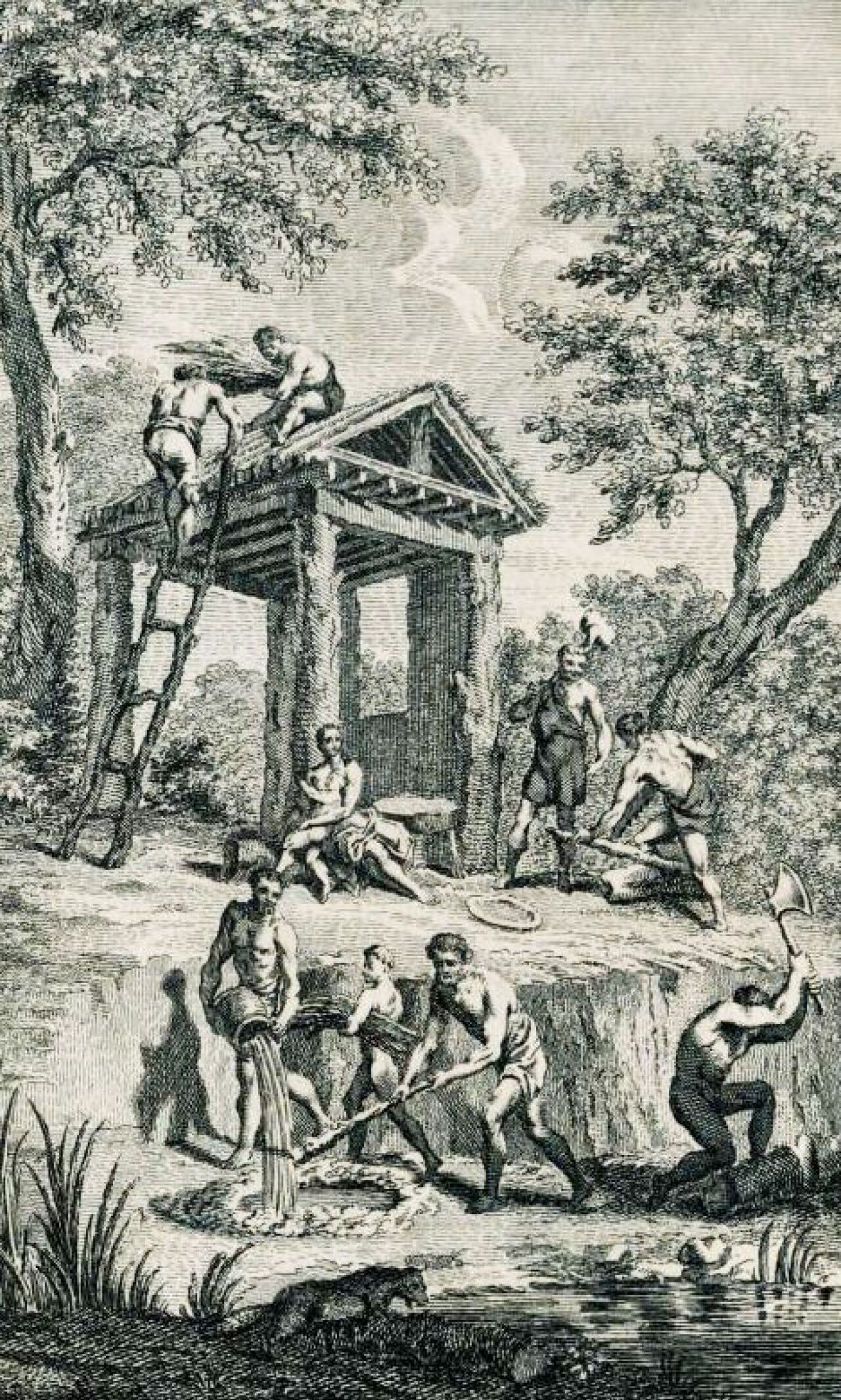Primitive Hut 1 Brent Hull