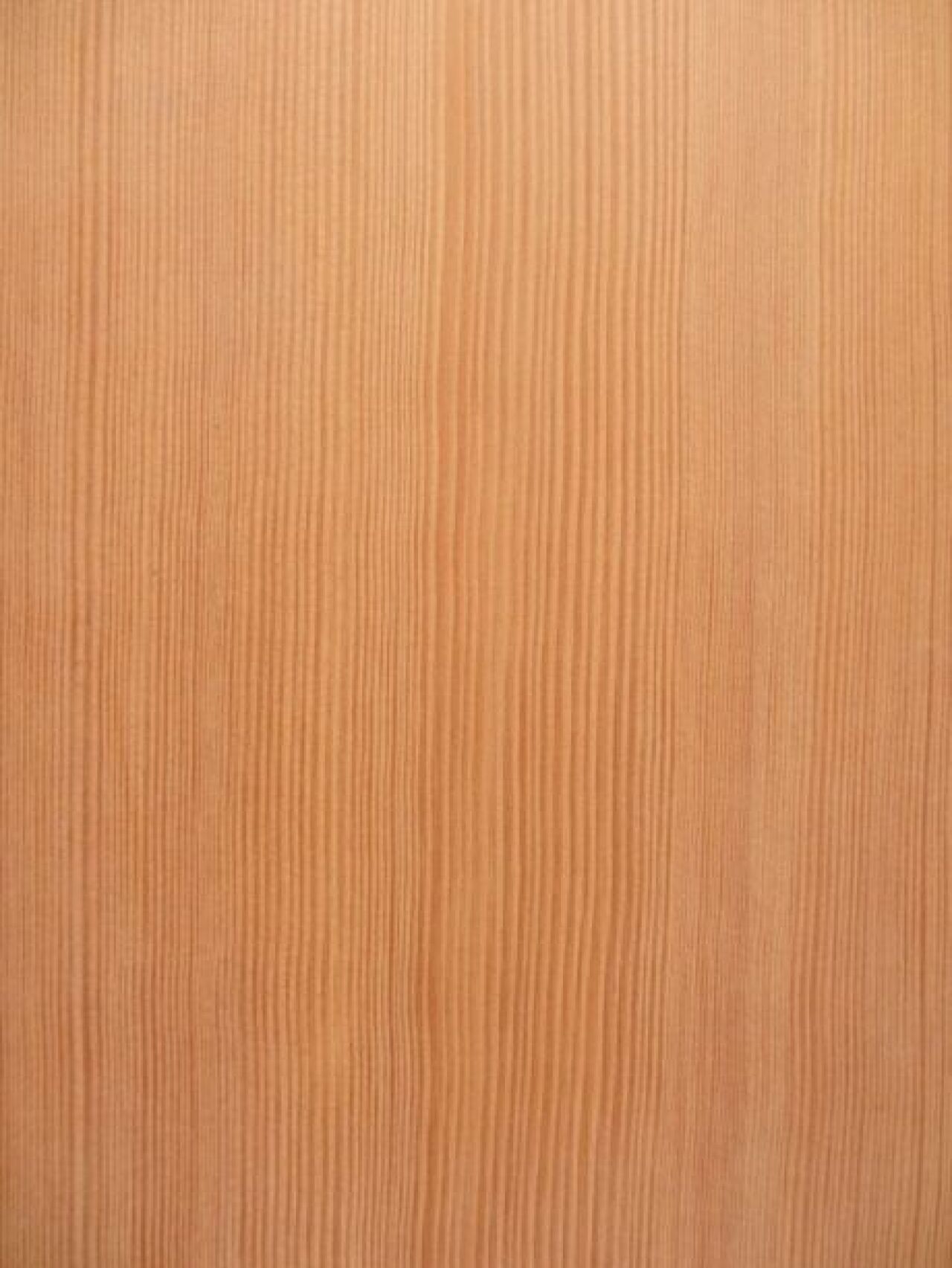 Western Douglas Fir Brent Hull 1